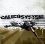 THE CALICO SYSTEM profile picture