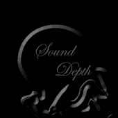 The SoundDepth Music Group profile picture