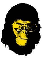 APES DON'T KILL APES profile picture