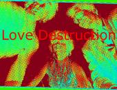 Love Destruction profile picture