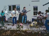 The Fabulous Bigsby Brothers Band profile picture