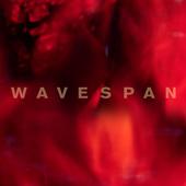 WAVESPAN profile picture