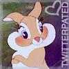 bixbi_loves_thumper