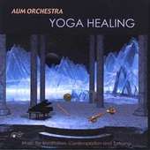 AUM Orchestra * World Music For Now * profile picture