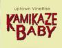 Kamikaze Baby profile picture