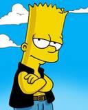 bart profile picture