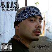 B.R.I.S. profile picture