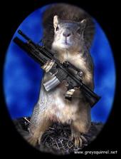 Sister Insanity is one PISSED OFF SQUIRREL profile picture