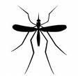 dressed as mosquitoes profile picture