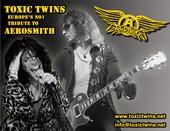 TOXIC TWINS AEROSMITH TRIBUTE BAND profile picture