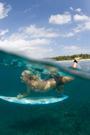 Bethany Hamilton profile picture