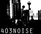 403 Noise profile picture