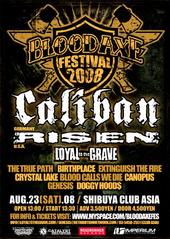 BLOODAXE FESTIVAL 2008 [tickets available now!!] profile picture