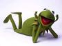 KERMIT la grenouille profile picture