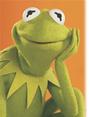 KERMIT la grenouille profile picture