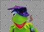 KERMIT la grenouille profile picture