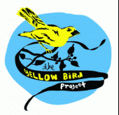 Yellow Bird Project profile picture