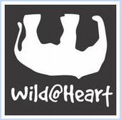 Wild at Heart Canada profile picture