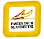 Fasten Your Seatbelts! profile picture