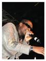 BUSY SIGNAL profile picture