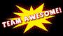 TEAM AWESOME! profile picture