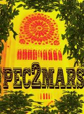 Pec2mars (Tympanfestif) profile picture