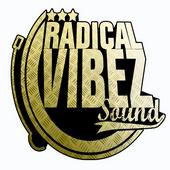 RadicalVibezSound profile picture