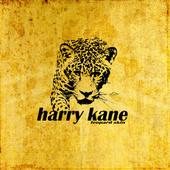 HARRY KANE profile picture