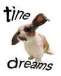 Tine Dreams profile picture