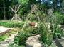 Damayan Garden Project profile picture