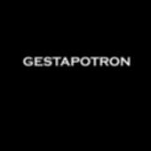 Gestapotron profile picture