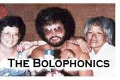 The Bolophonics profile picture