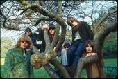 Jefferson Airplane profile picture