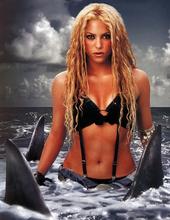 Shakira's clone profile picture