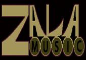 Zala Music/Studio profile picture