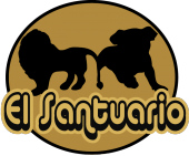 el santuario profile picture