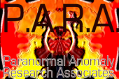 P.A.R.A. profile picture