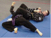 michiganhapkido