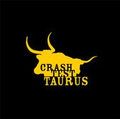 CrashTestTaurus profile picture