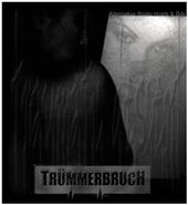 TRÃœMMERBRUCH & traumatic descent profile picture