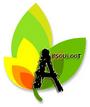 Absouloot Design profile picture