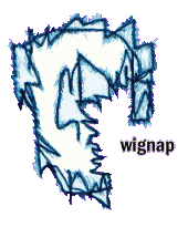 wignap records profile picture