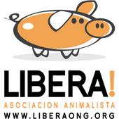 liberaong