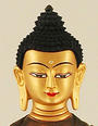 Dhammaraja profile picture