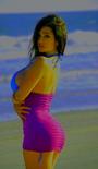 Denise Milani Fan Club (U.S.) profile picture