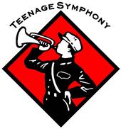 Mr. Teenage Symphony profile picture