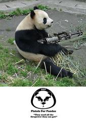 Your Blind Panda profile picture