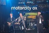 Motor City OX profile picture