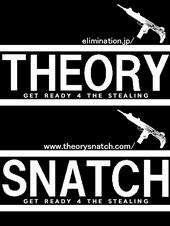 THEORY SNATCH profile picture