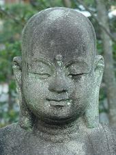 The Bodhisattva profile picture